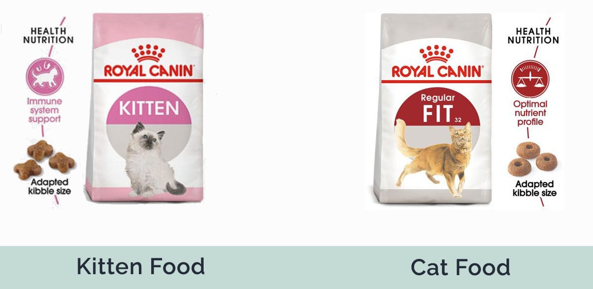 kitten food vs cat food side by side
