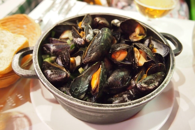 mussels in a bowl