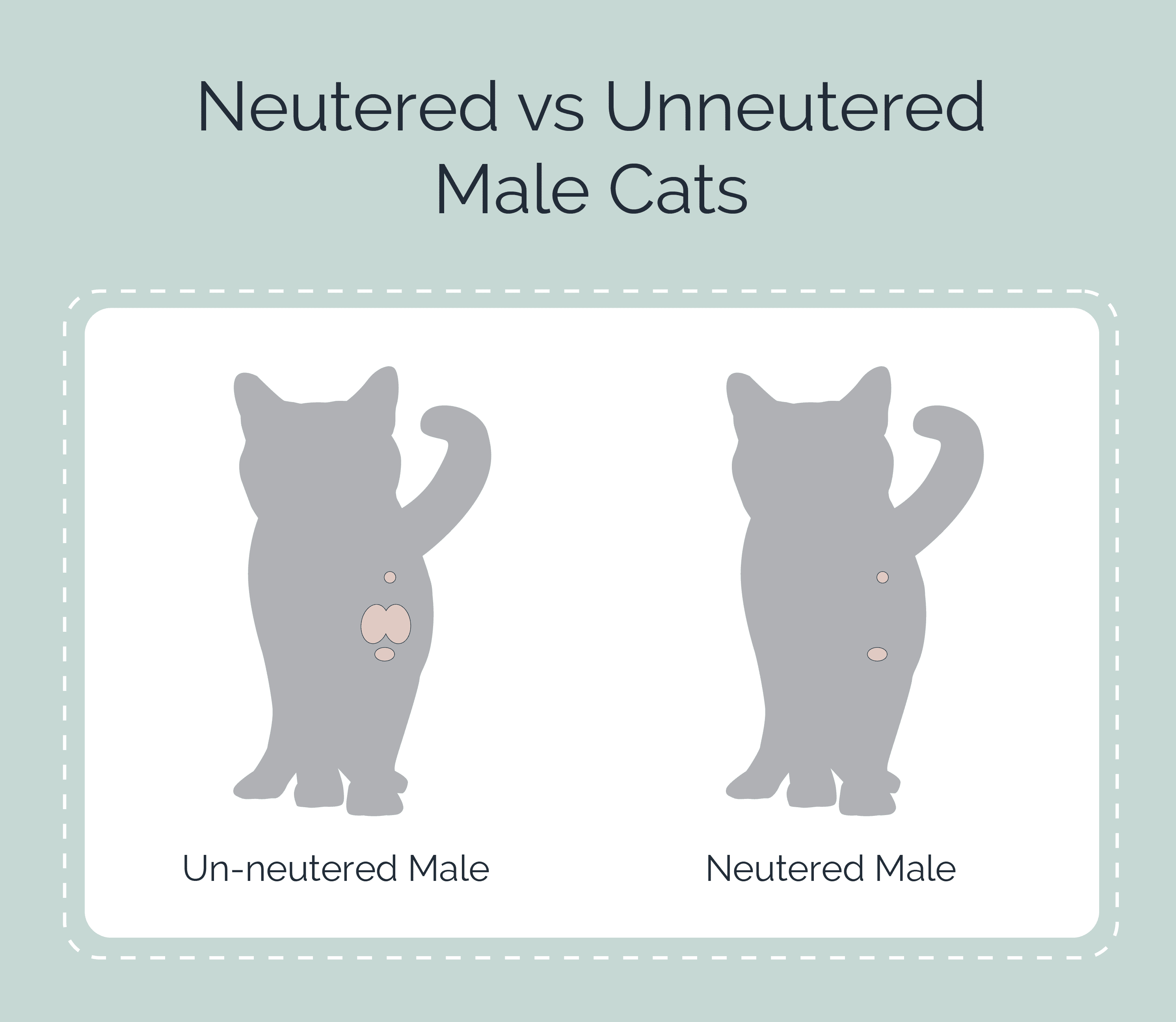 neutered_vs_unneutered_male_cats_