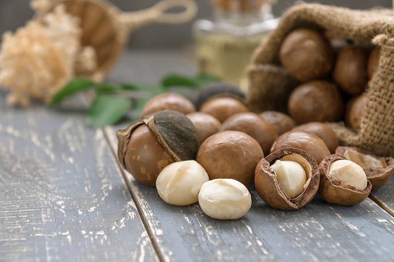 Organic Macadamia nuts on the table