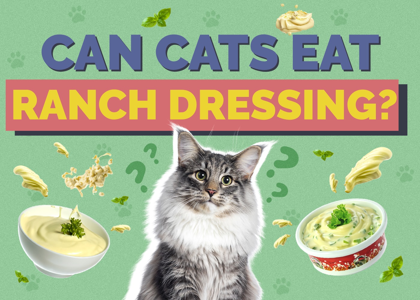 Can Cats Eat Ranch Dressing? What You Need to Know! | Hepper Pet Resources