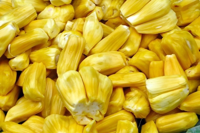 ripe jackfruit