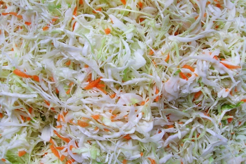 sauerkraut-cabbage