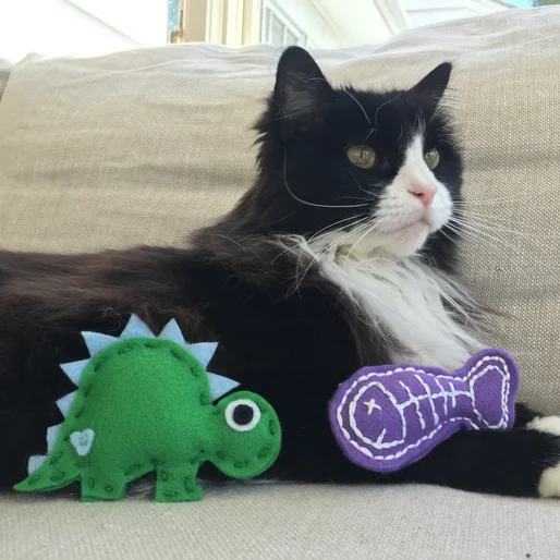 2 Felt Cat Toys (Fish and Dinosaur)