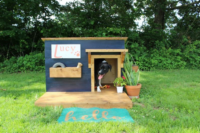 A NEW HOME FOR LUCY–MODERN DIY DOG HOUSE