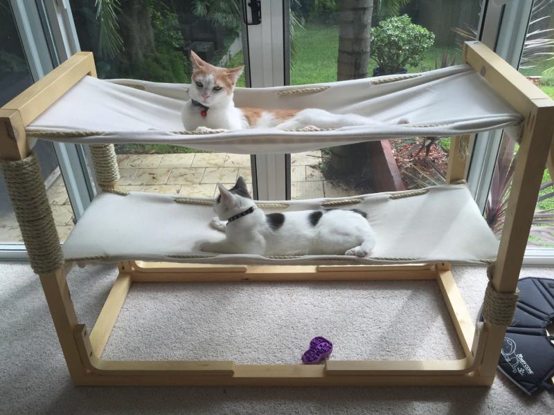 Build Bunk Bed Hammocks for Your Cats