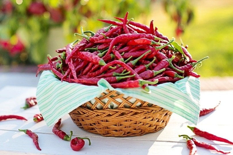 Cayenne Pepper