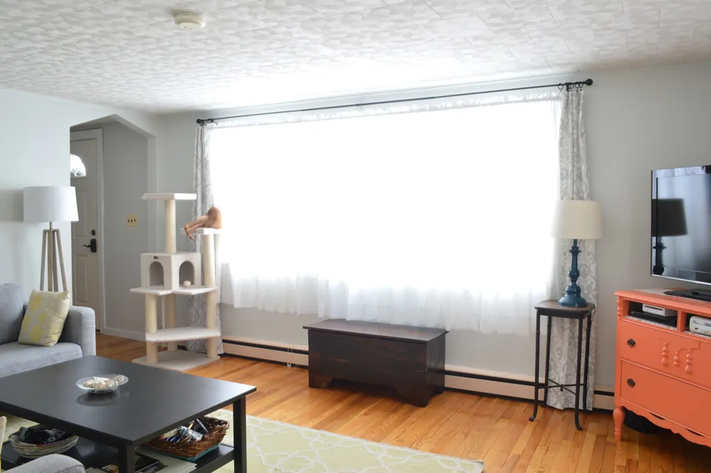 Colorful Cat Shelves