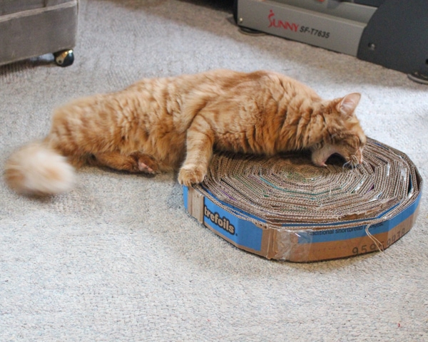 Corrugated Cardboard Cat Scratcher- Crafting green world