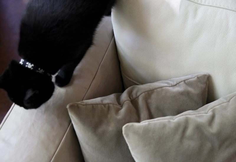Couch Cover DIY