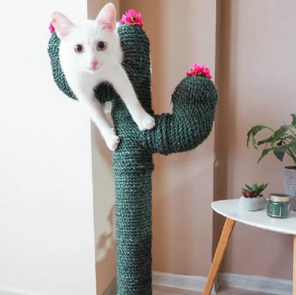 DIY Cactus Cat Scratching Post