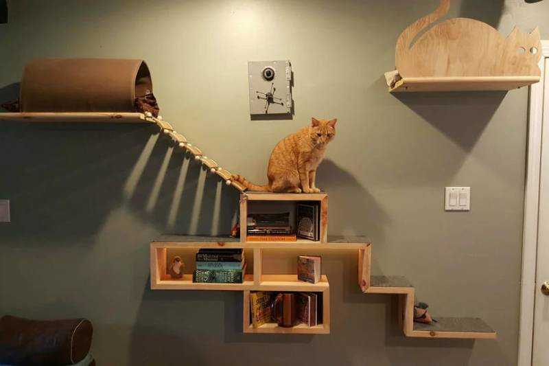 DIY Cat Adventure and Escape Wall