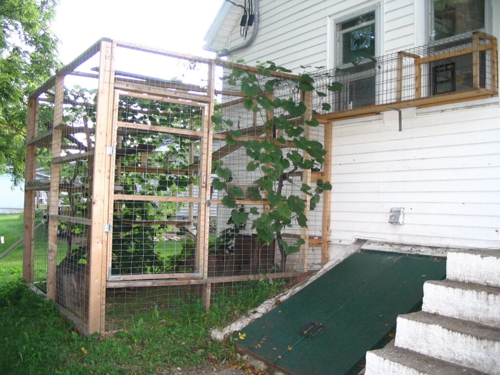 DIY Cat Enclosure and Tunnel- Our tiny home stead