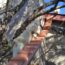 10 DIY Cat Ramp Plans You Can Make Today (With Pictures) | Hepper Pet ...
