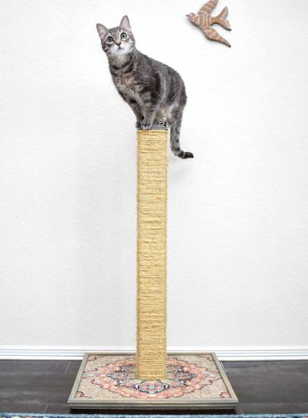 DIY Cat Scratching Post That Lasts for Years