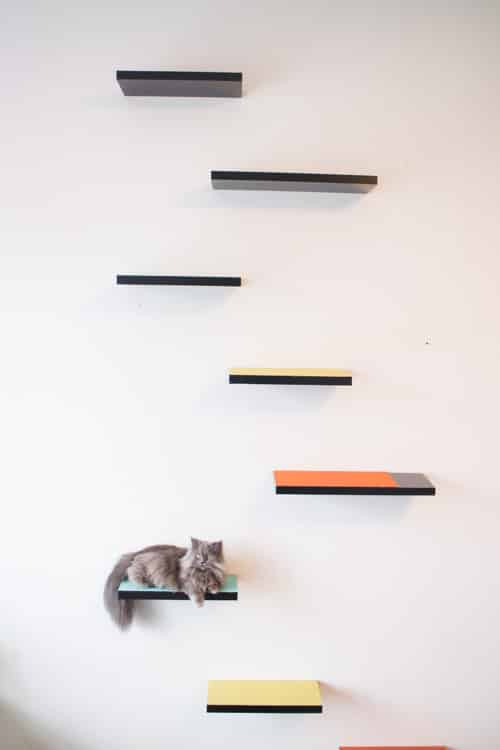 DIY Cat Shelves That Your Cat Will Love