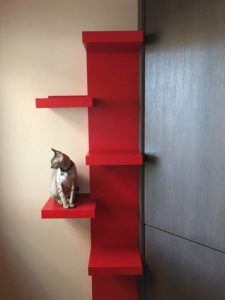 DIY Cat Tree Climb