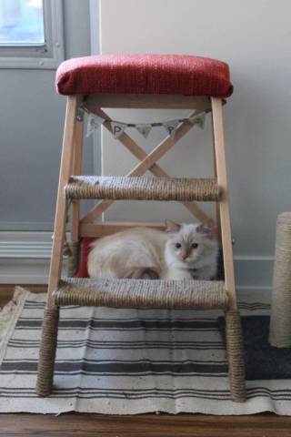 DIY Cat Tree with Hammock