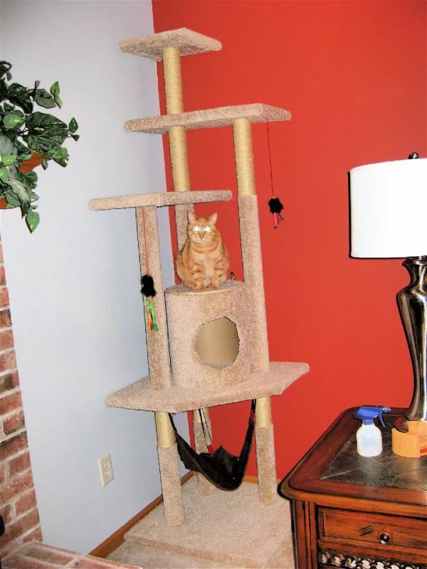 DIY Cat Tree with Step by Step Plan