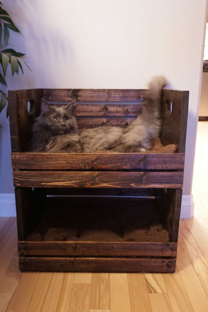 DIY Crate Bunk Bed for Cats- My vethosp 