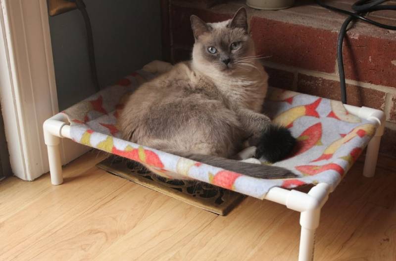 DIY Inexpensive Cat Hammock