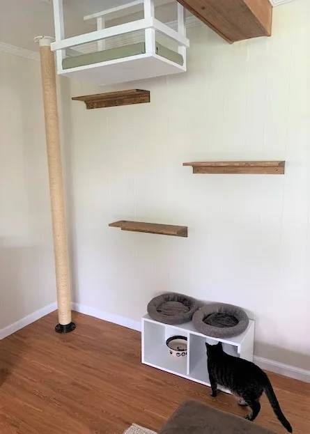 DIY Staircase for a Kitty Jungle Gym
