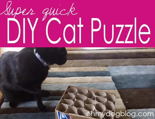 DIY Super Quick Puzzle Slow Feeder- Oh my dog blog 