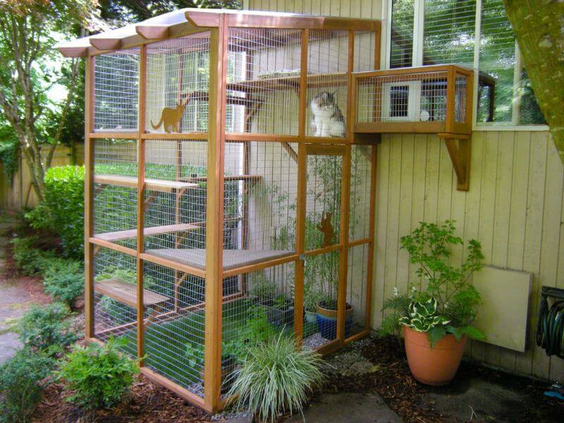 DIY Wooden Outdoor Cat Enclosure- Catio spaces