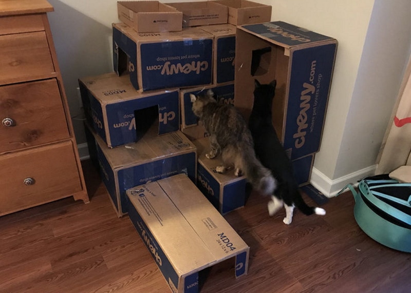 DIY cardboard cat tree
