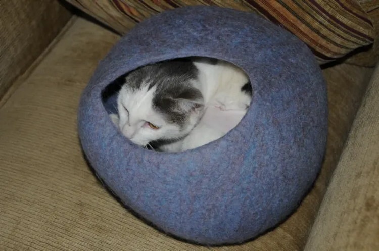 DIY cat cave