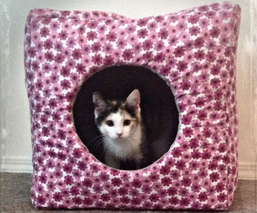 DIY cat cave
