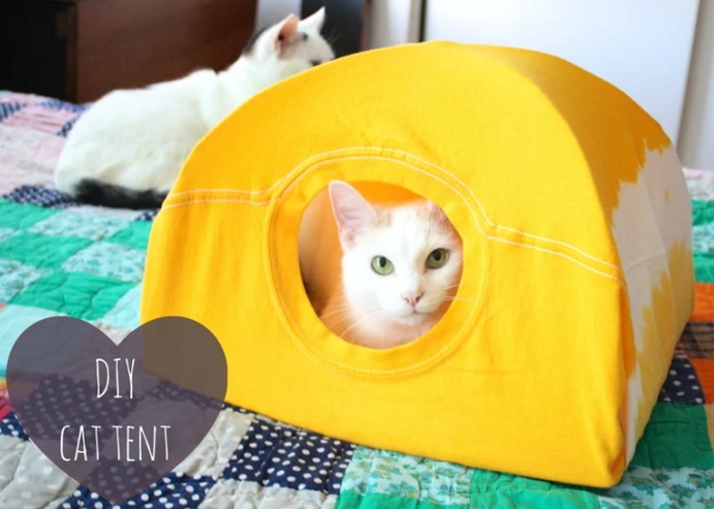 DIY cat cave