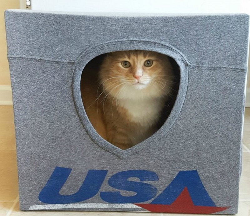 DIY cat cave