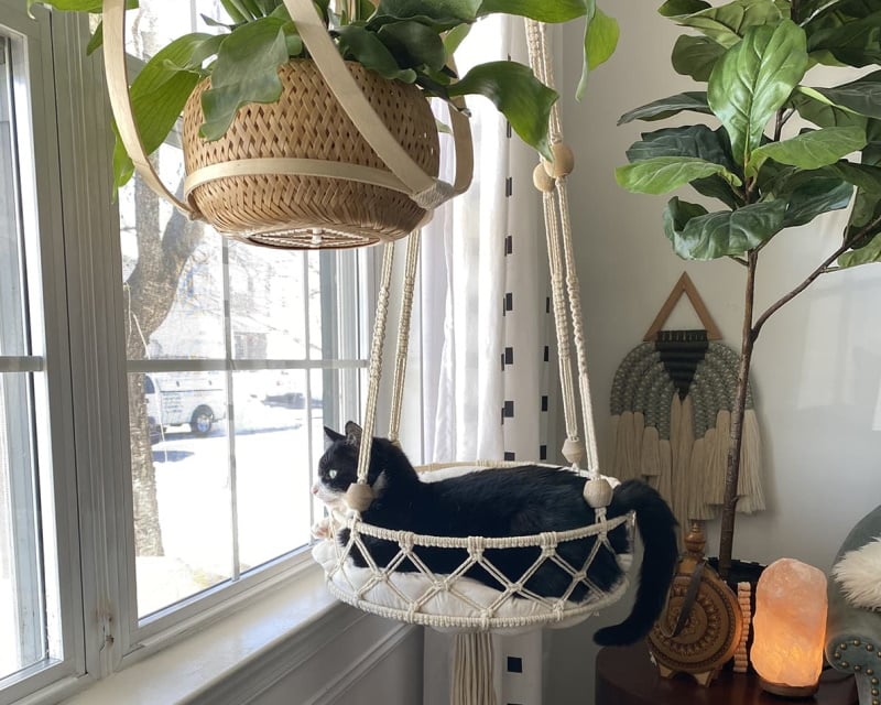 DIY cat hammock