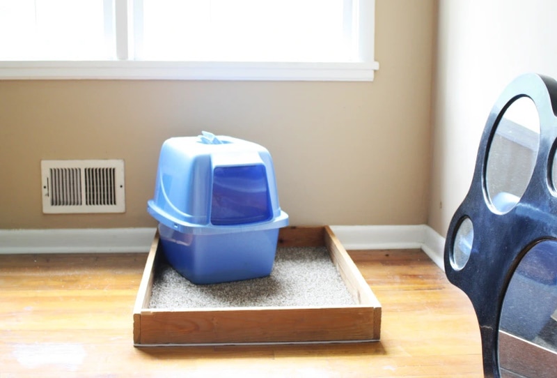 DIY cat litter box