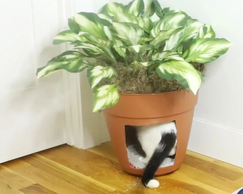 DIY cat litter box