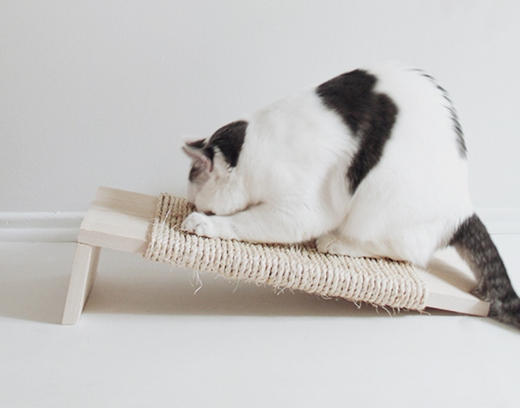 DIY cat scratch board