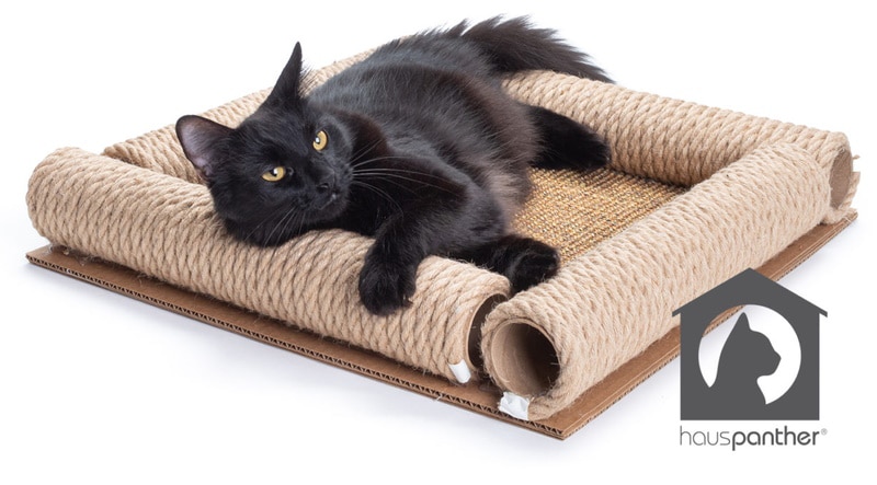 DIY cat scratch board