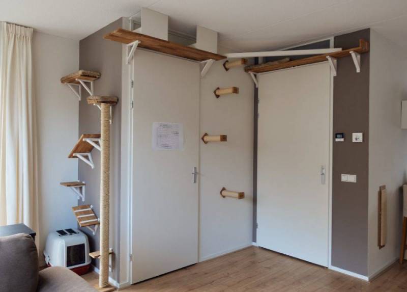 DIY climbing wall for cats