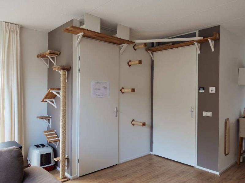 DIY climbing wall for cats