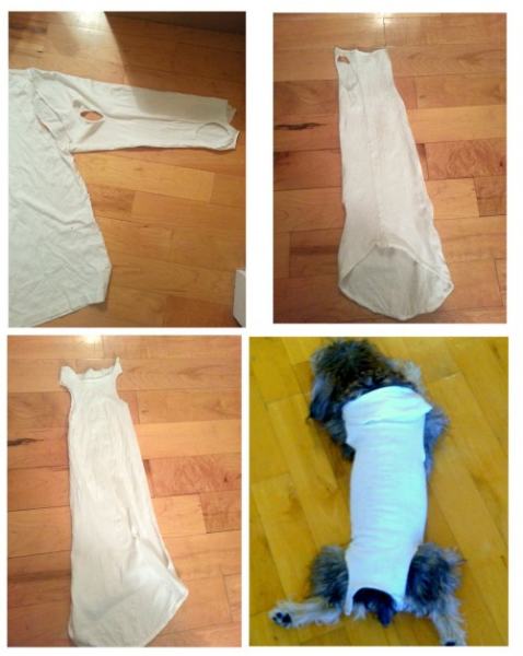 Dog Onesie From A Shirt Sleeve