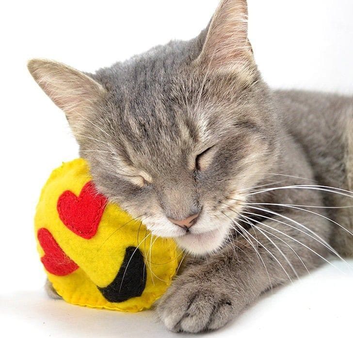 Felt Emoji Cat Toys