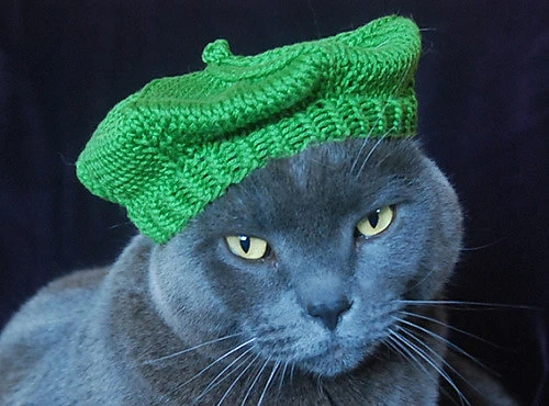 French Beret Cat Hat- Ravelry