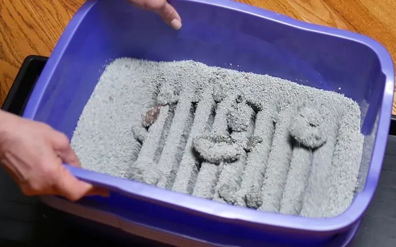 HOW TO MAKE A SELF-SIFTING KITTY LITTER BOX