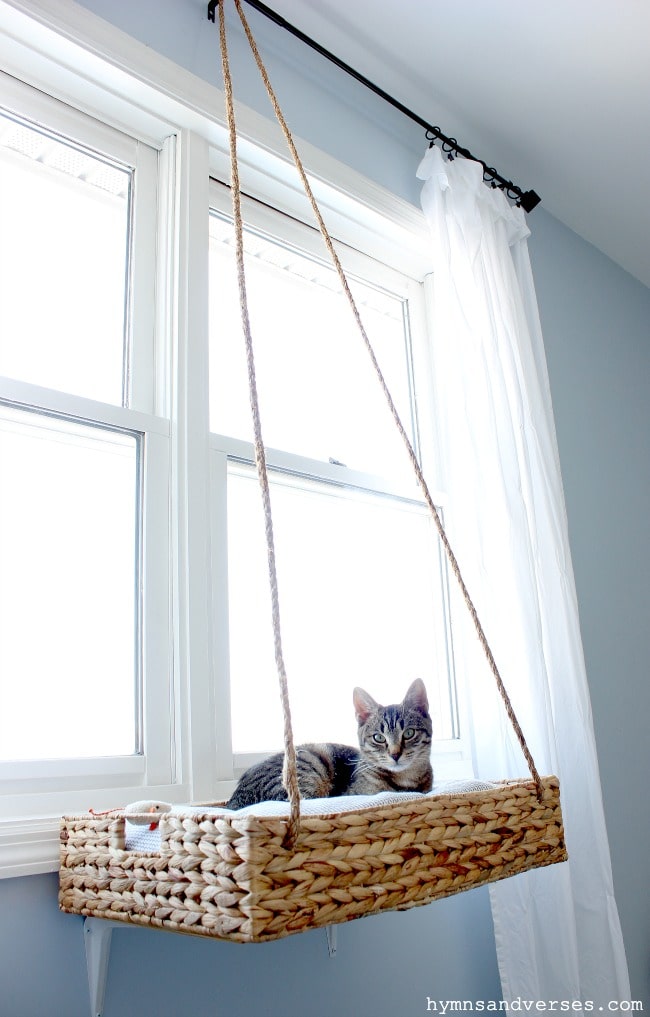 Hanging Basket Perch- Hymns and verses