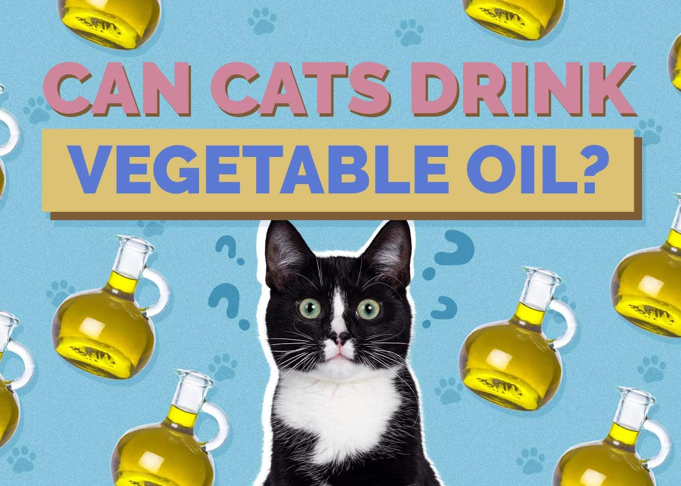 Hepper_Can Cats Drink_Vegetable Oil