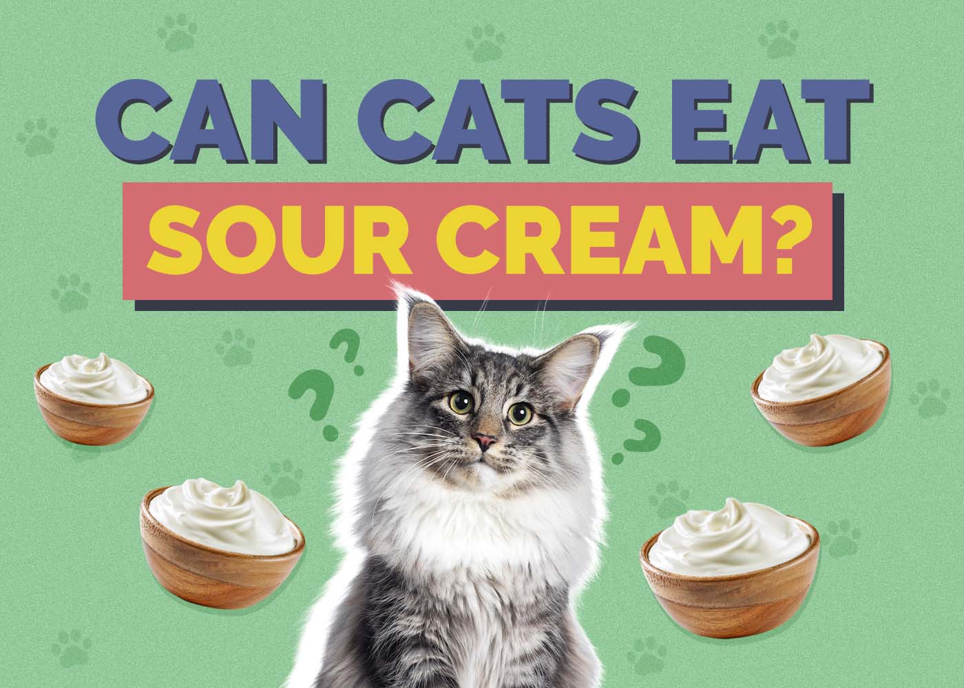 Hepper_Can Cats Eat_Sour Cream