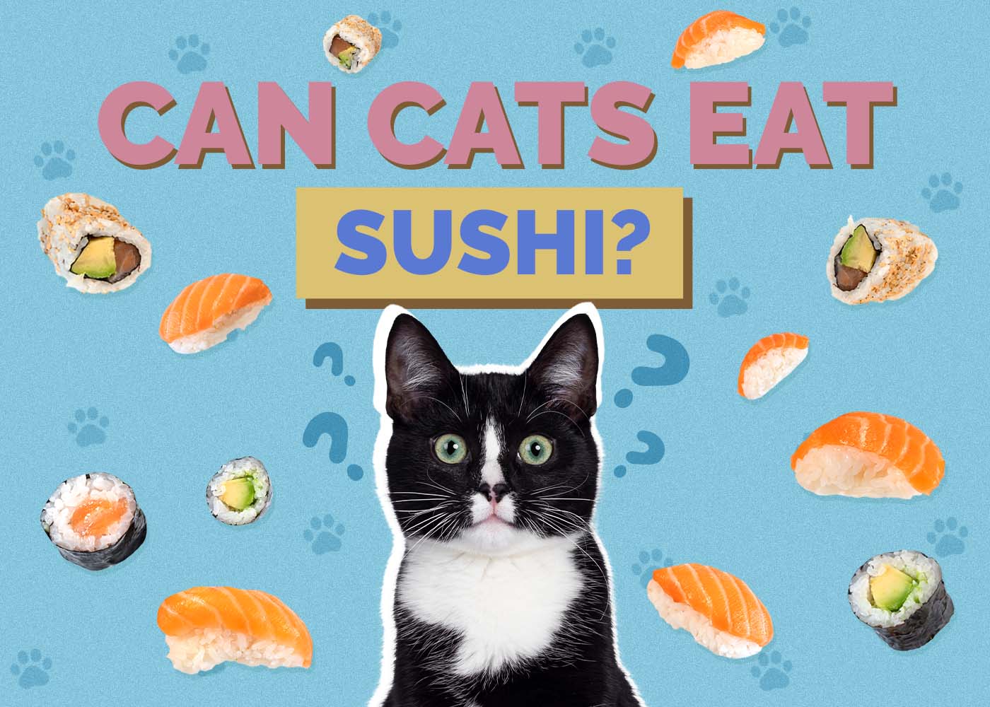 Hepper_Can Cats Eat_Sushi