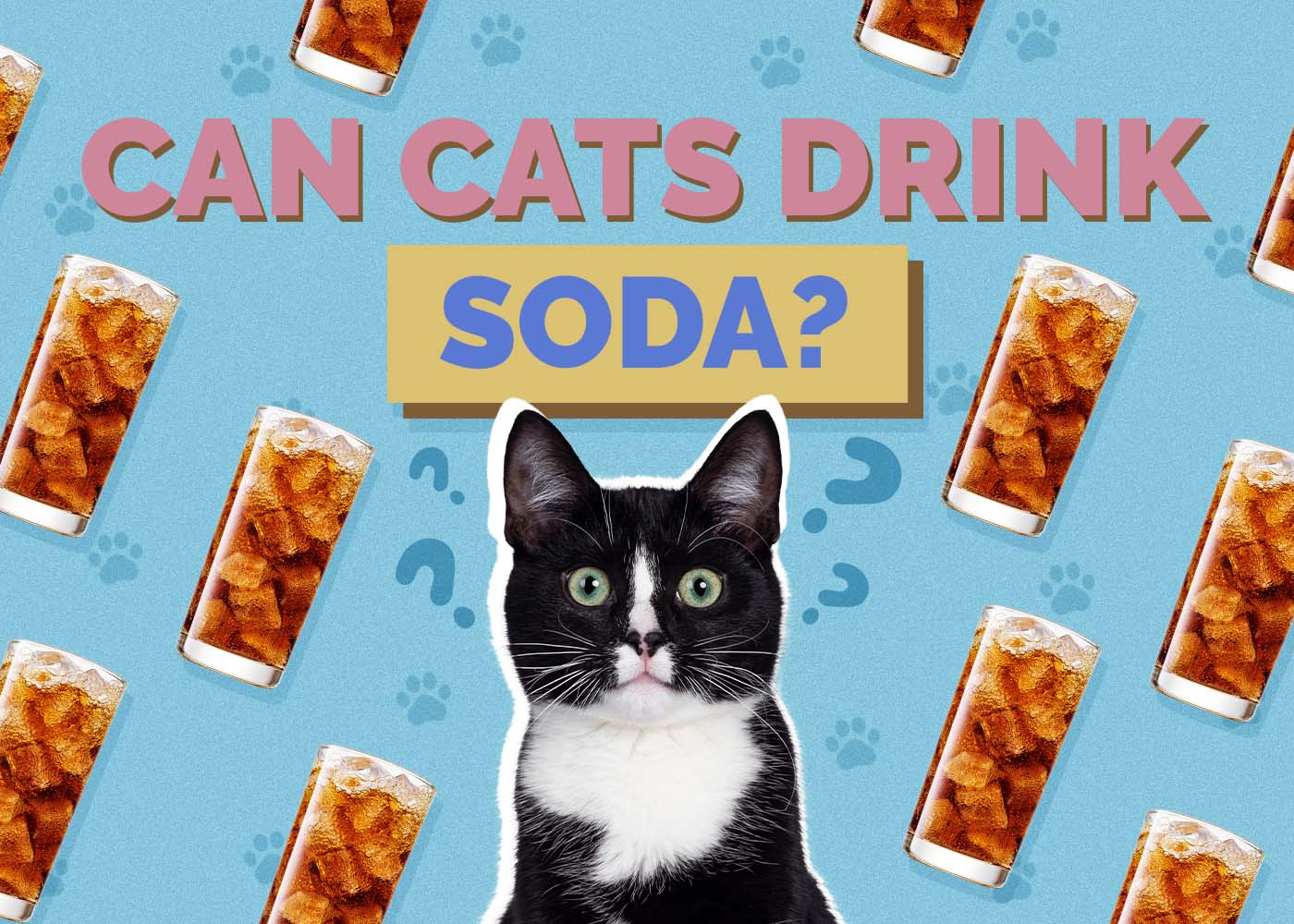 Hepper_Can Cats Eat_Vinegar