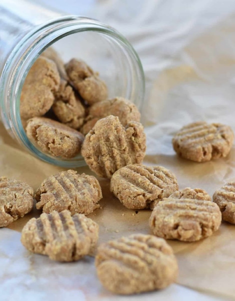 Homemade Cat Treats